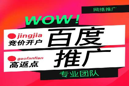 成功案例：sem竞价托管的智慧与策略